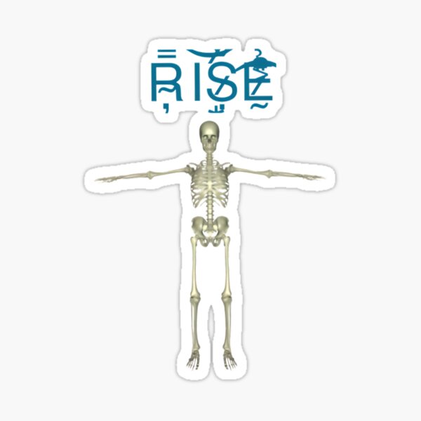 T Posing Stickers for Sale