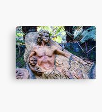 William Ricketts Sanctury, Mount Dandenong, Victoria Canvas Print
