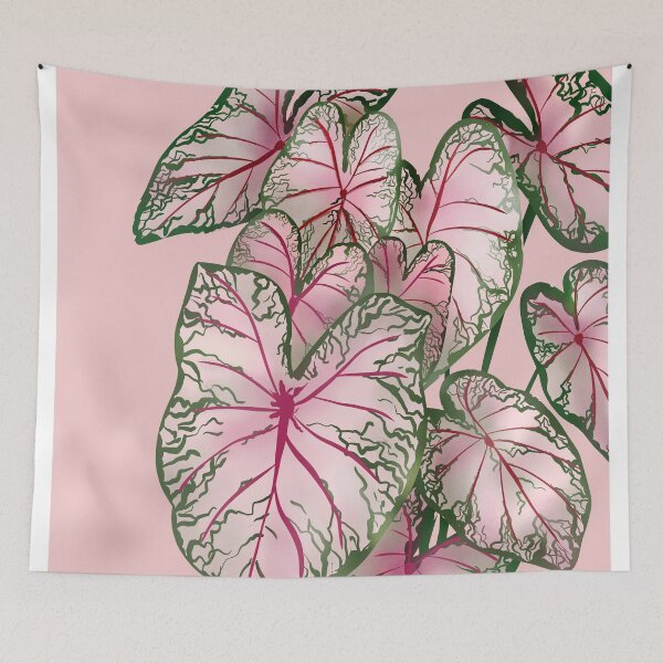 Item preview, Caladium Pink Beauty Illustration designed and sold by Ana Moguš.