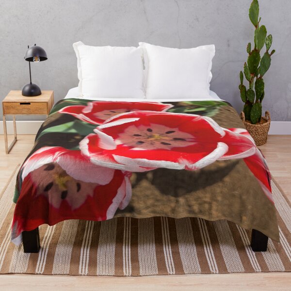 Item preview, Candy Apple Tulip at the Tulip Festival designed and sold by Jenie Yolland.