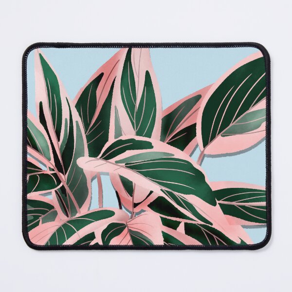 Item preview, Calathea Triostar Illustration On Pink designed and sold by Ana Moguš.