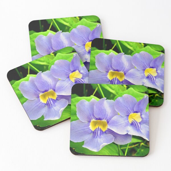 Item preview, Streptocarpus Speicies Blue Flowers designed and sold by AndyEvansPhotos.