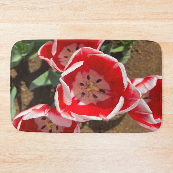 Item preview, Candy Apple Tulip at the Tulip Festival designed and sold by Jenie Yolland.