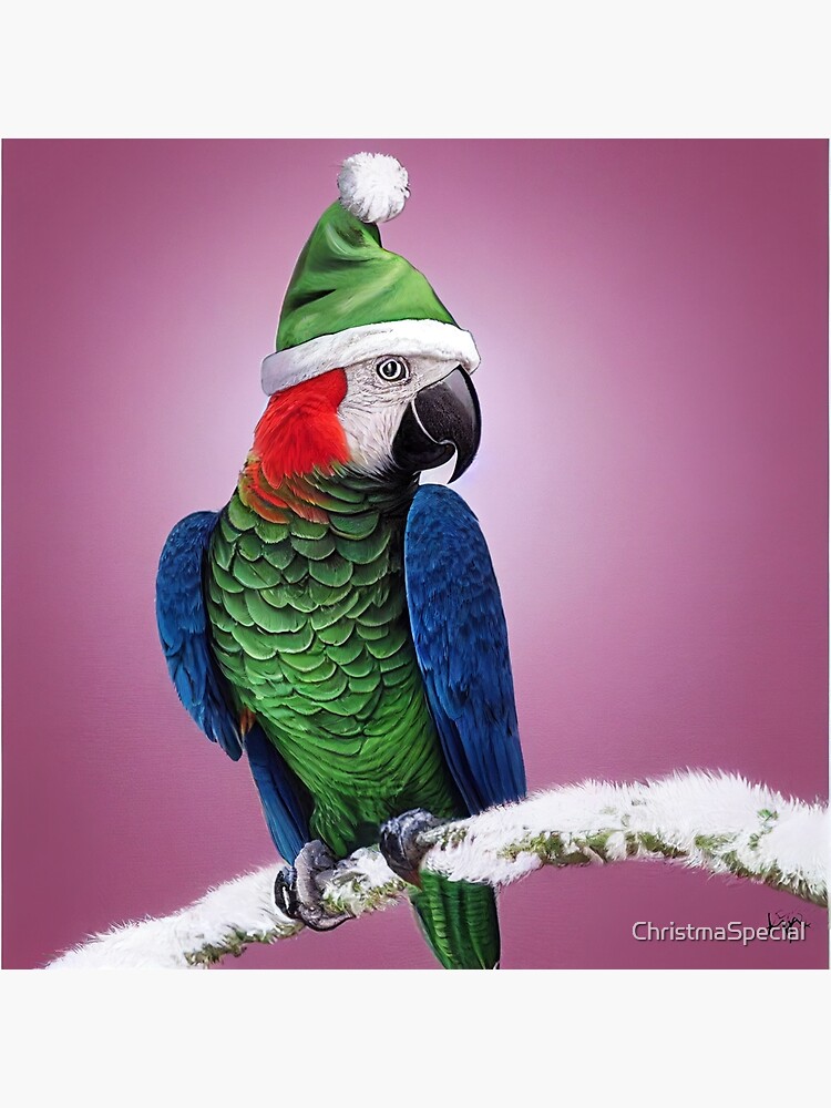 Parrot shop christmas jumper