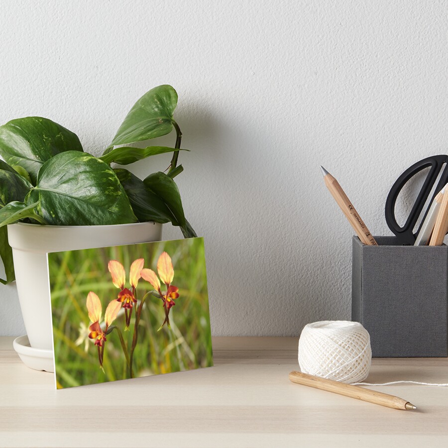 Item preview, Art Board Print designed and sold by Rocksygal52.