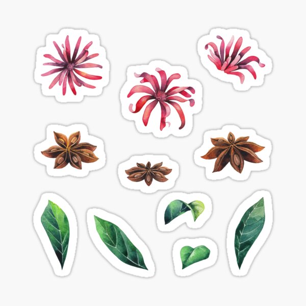 Item preview, Watercolor star anise  designed and sold by Ekaterina Glazkova.