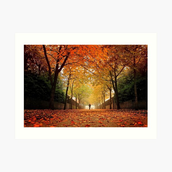 Autumn Avenue Art Print