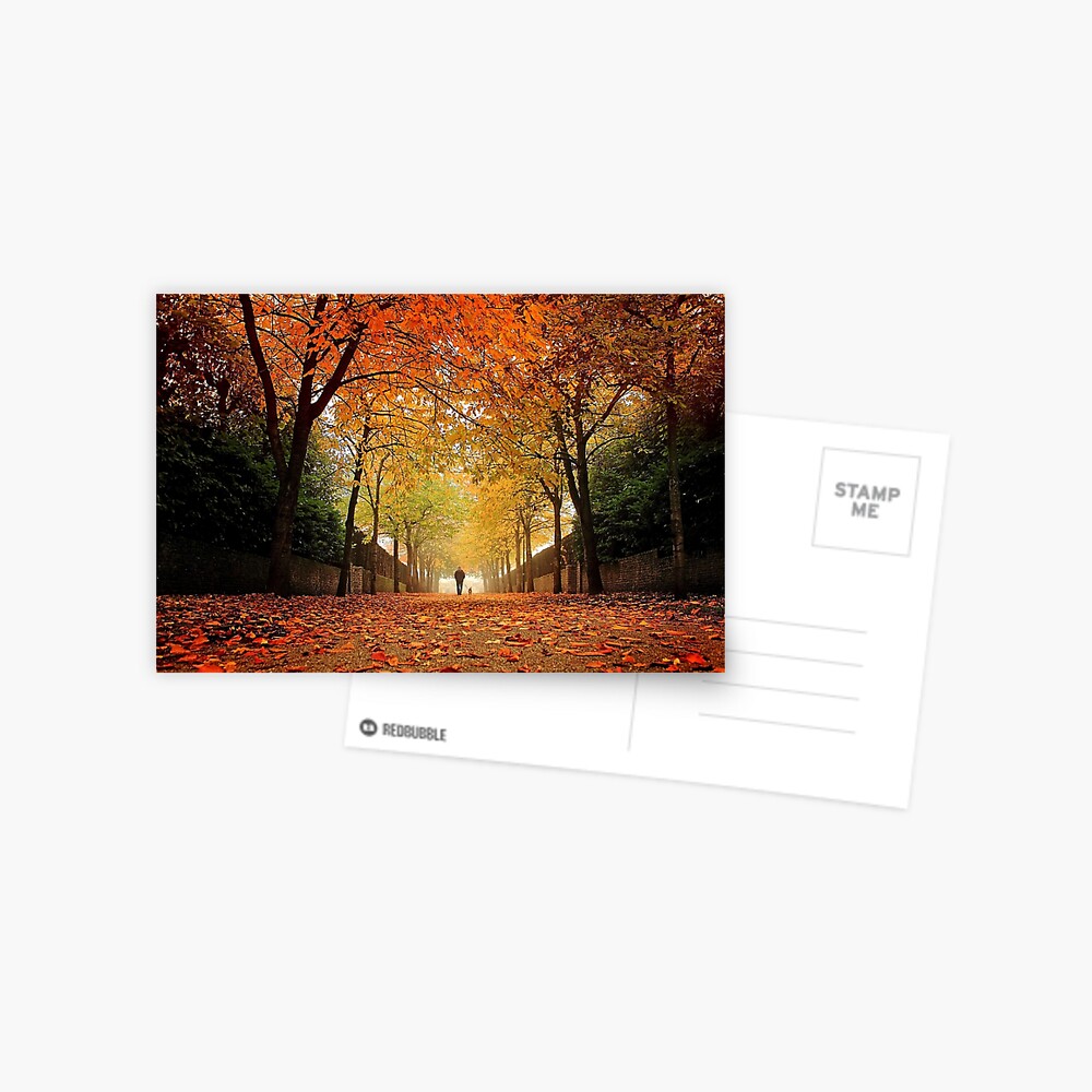 Item preview, Postcard designed and sold by Coigach.