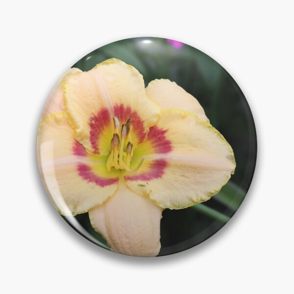 Item preview, Volunteer Daylily designed and sold by CJGrimes.