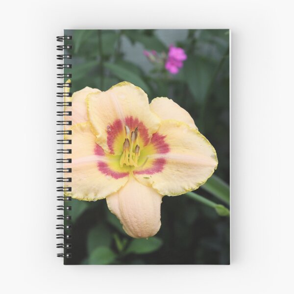Item preview, Volunteer Daylily designed and sold by CJGrimes.