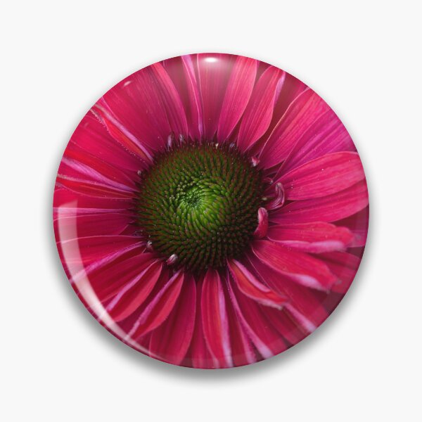 Item preview, Echinacea Sunseekers Sweet Fuschia  designed and sold by Debbee75.
