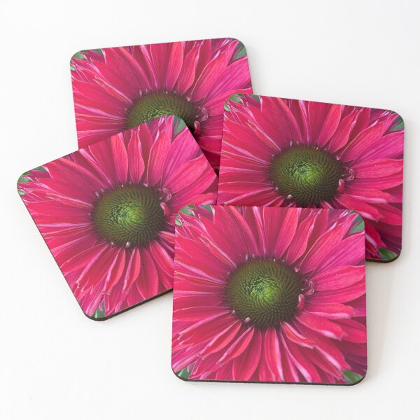 Item preview, Echinacea Sunseekers Sweet Fuschia  designed and sold by Debbee75.