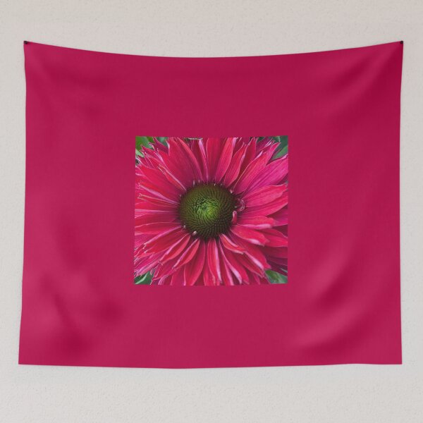 Item preview, Echinacea Sunseekers Sweet Fuschia  designed and sold by Debbee75.