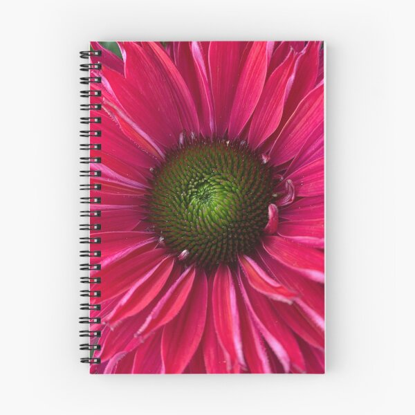 Item preview, Echinacea Sunseekers Sweet Fuschia  designed and sold by Debbee75.