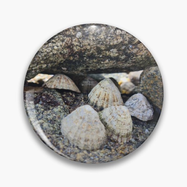 Item preview, Seashells designed and sold by NerdyDreamerArt.