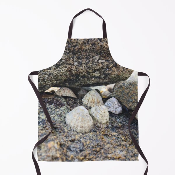 Item preview, Seashells designed and sold by NerdyDreamerArt.