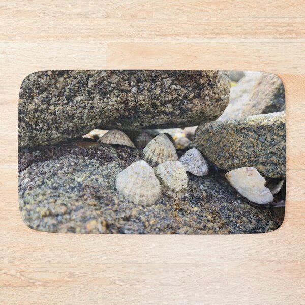 Item preview, Seashells designed and sold by NerdyDreamerArt.