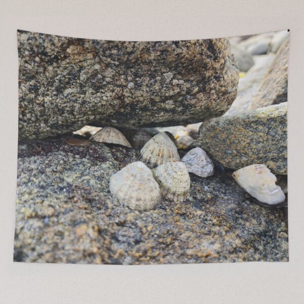 Item preview, Seashells designed and sold by NerdyDreamerArt.