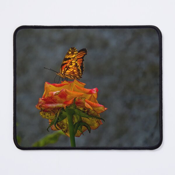 Item preview, Mother Nature Does It Best designed and sold by alabca.