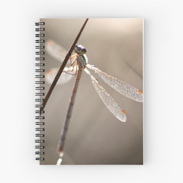 Item preview, Damselfly Kissed by the Sun designed and sold by Jo Nijenhuis.