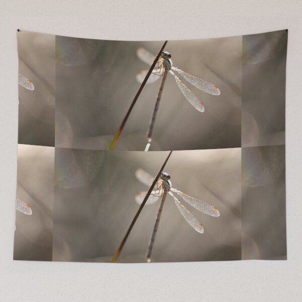 Item preview, Damselfly Kissed by the Sun designed and sold by Jo Nijenhuis.