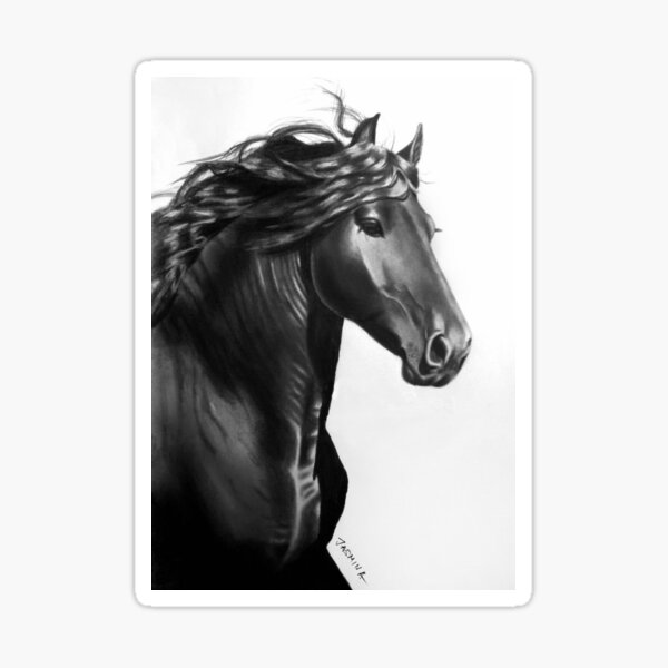 A Beautiful Friesian Horse - Pencil Drawing Sticker