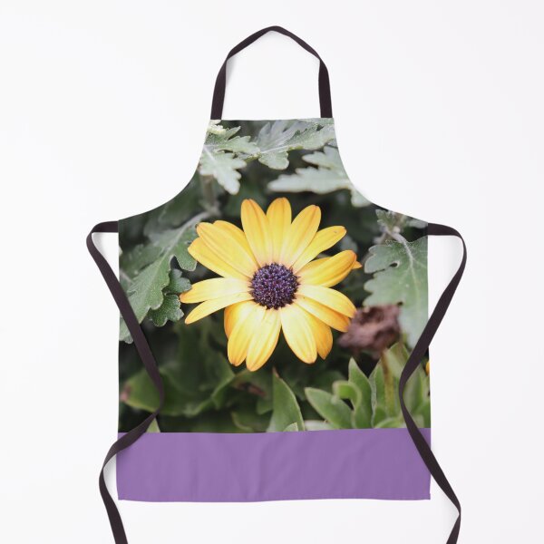 Item preview, Osteospermum designed and sold by CJGrimes.