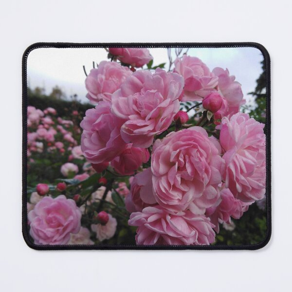 Item preview, My love is definitely pink - at least today designed and sold by Raigitam.