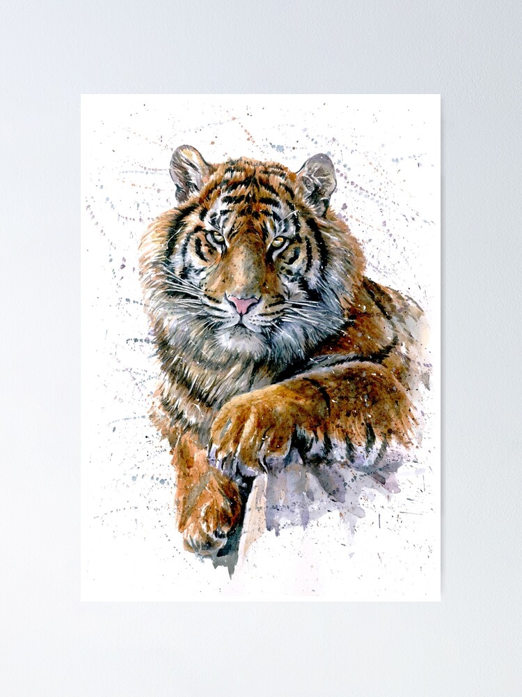 Tiger Aquarell Rauber Poster Von Kostart Redbubble