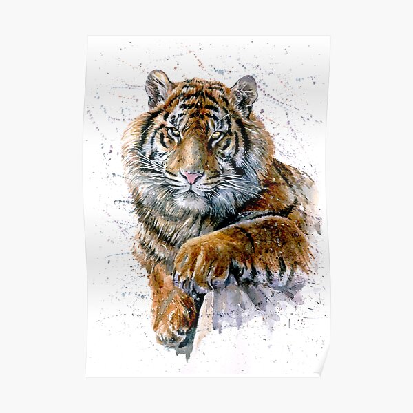 Tiger watercolor predator Poster