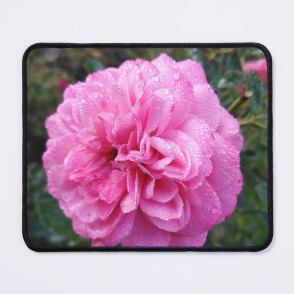 Item preview, Early mornings in the magic garden designed and sold by Raigitam.