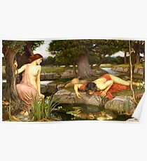 Echo und Narcissus - John William Waterhouse Poster
