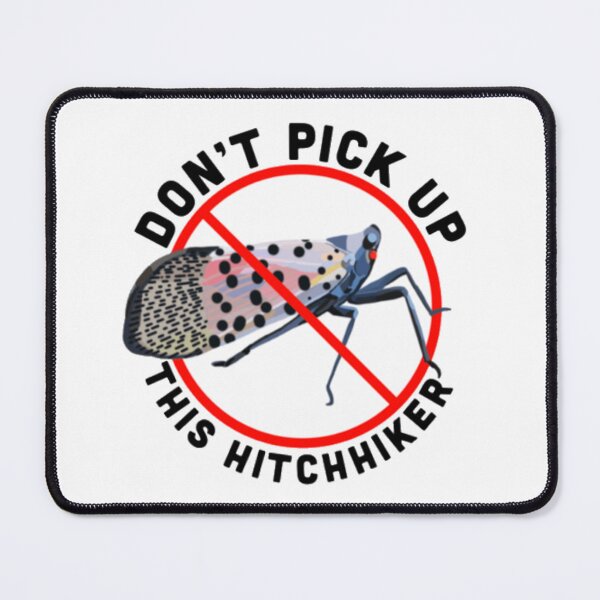 Item preview, Spotted Lanternfly designed and sold by radiantdark.