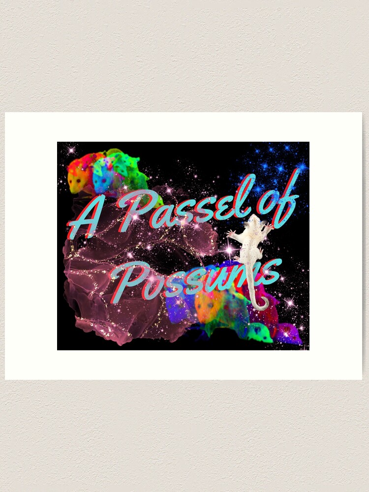 A Passel of Possums, possum love, fun, psychedelic Art Print for