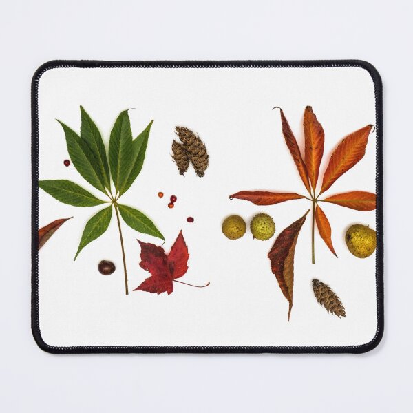 Item preview, Autumn Potpourri I designed and sold by Gabriele Maurus.