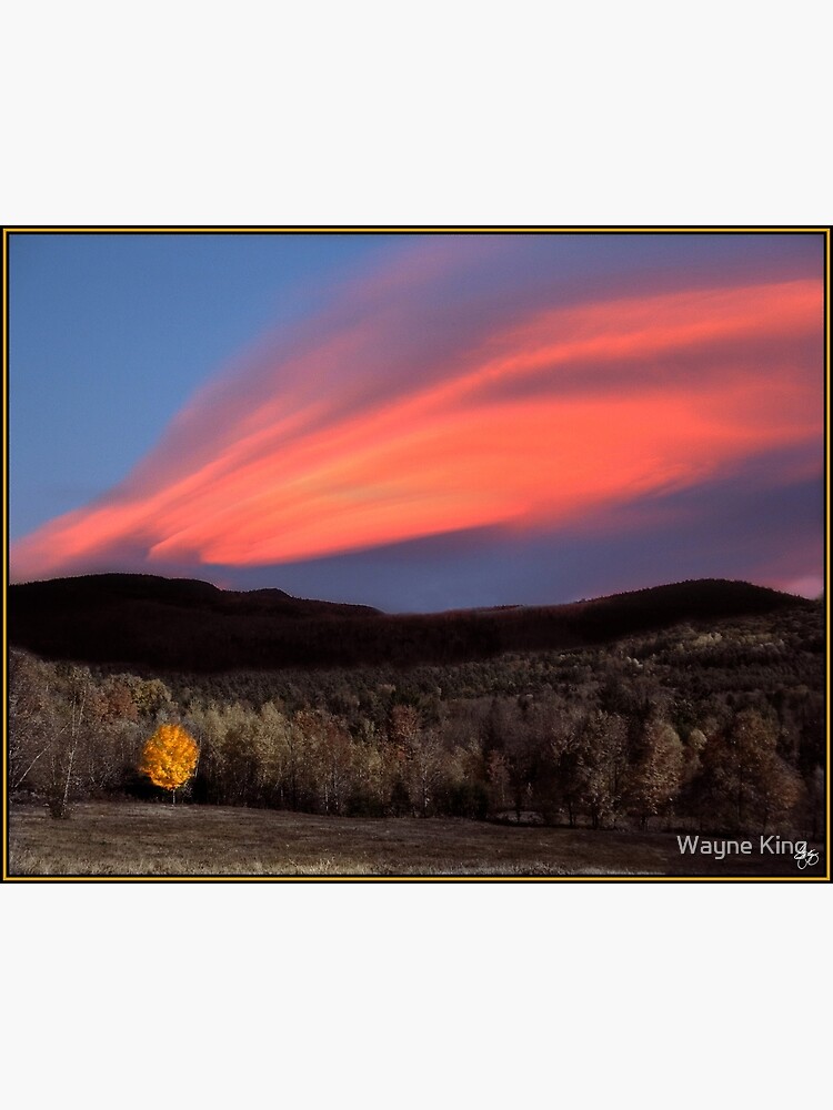 Maple Ablaze at Sunset by waynedking
