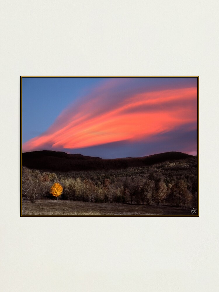 Alternate view of Maple Ablaze at Sunset Photographic Print