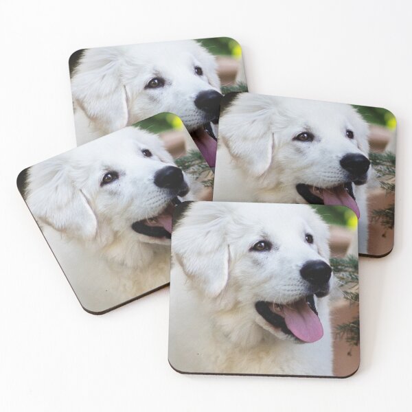 Item preview, Kuvasz Cute  designed and sold by Varunvij.