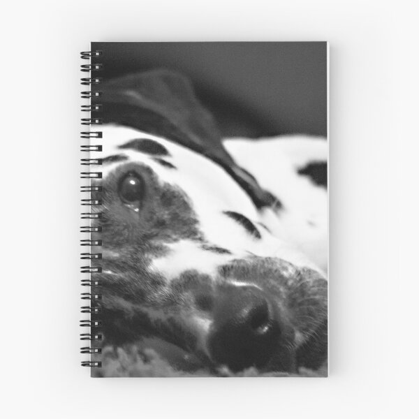 Item preview, Beautiful Dalmatian  designed and sold by sbaldwinartist.