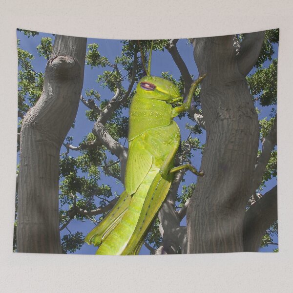Item preview, Giant Hopper Climbing a Tree designed and sold by heatherfriedman.