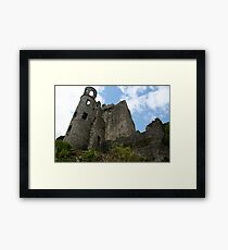 Blarney castle 2 Framed Print