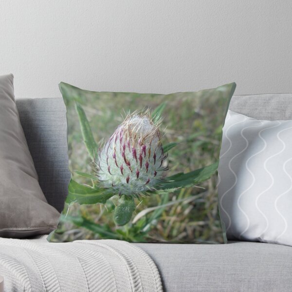 Item preview, Cardo cardo-flor silvestre designed and sold by Ana Belaj.