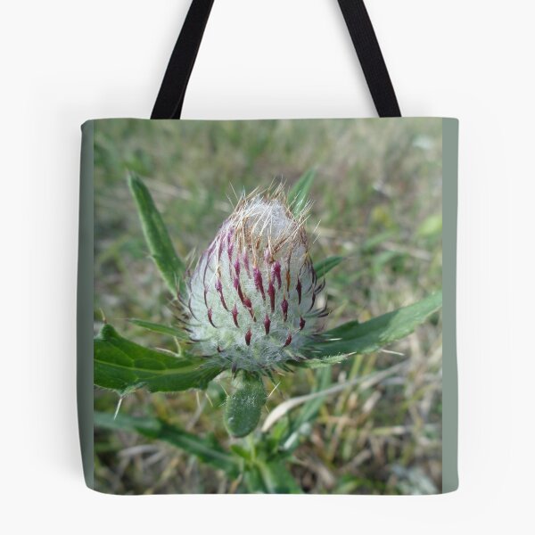 Item preview, Cardo cardo-flor silvestre designed and sold by Ana Belaj.