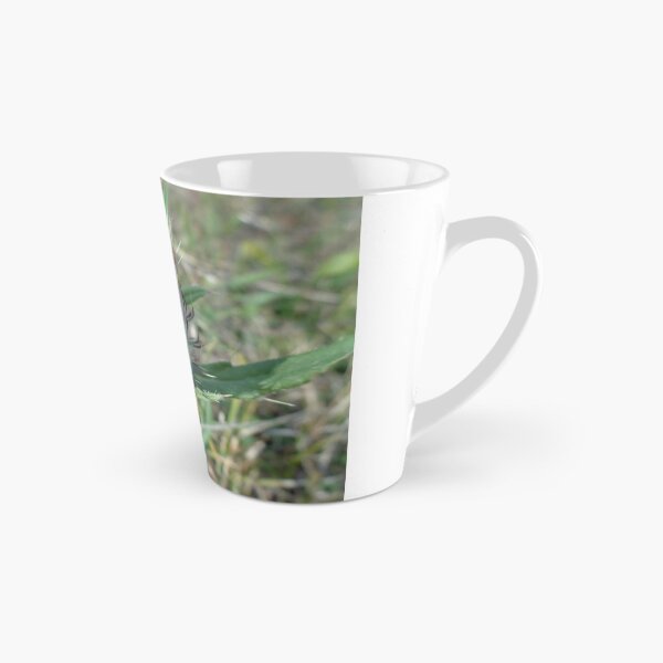 Item preview, Cardo cardo-flor silvestre designed and sold by Ana Belaj.