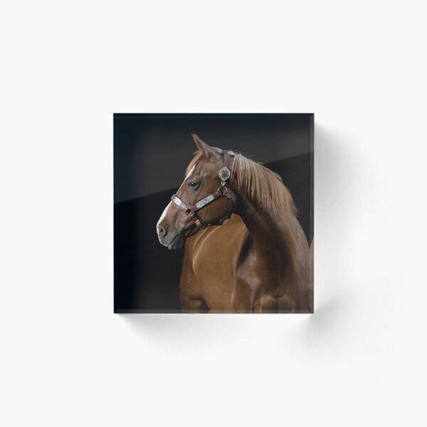 Item preview, El Caballo Noble V designed and sold by HiddenRockRanch.