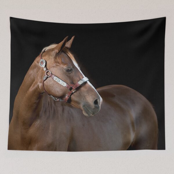 Item preview, The Noble Horse VI designed and sold by HiddenRockRanch.