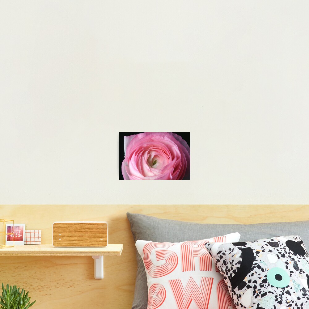 Item preview, Photographic Print designed and sold by SmoothBreeze7.