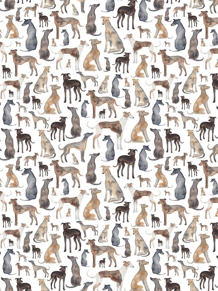 Greyhounds, Wippets and Lurcher Dogs! by ElenaONeill