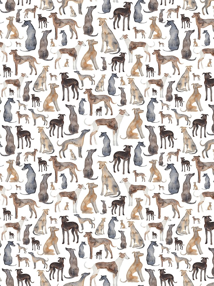 Greyhounds, Wippets and Lurcher Dogs! by ElenaONeill