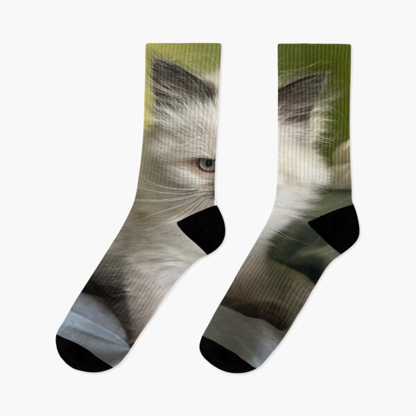 Item preview, Himalayan kitten designed and sold by SkinnyLizard.